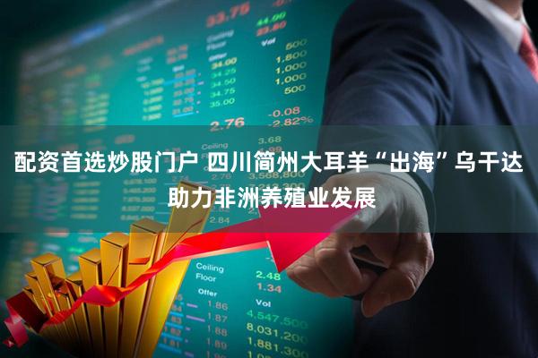 配资首选炒股门户 四川简州大耳羊“出海”乌干达 助力非洲养殖业发展