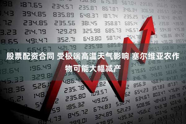 股票配资合同 受极端高温天气影响 塞尔维亚农作物可能大幅减产